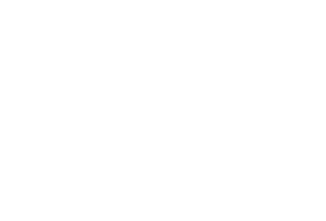 martemeo international